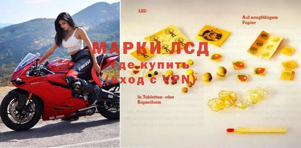 гидра Аркадак