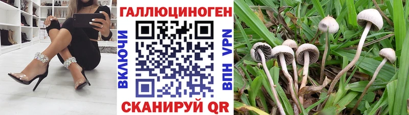 Галлюциногенные грибы Cubensis  сколько стоит  mega сайт  Липки 